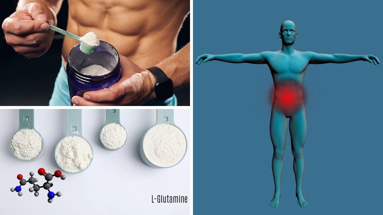 Gaining Superpowers From Glutamine? Find Out How!