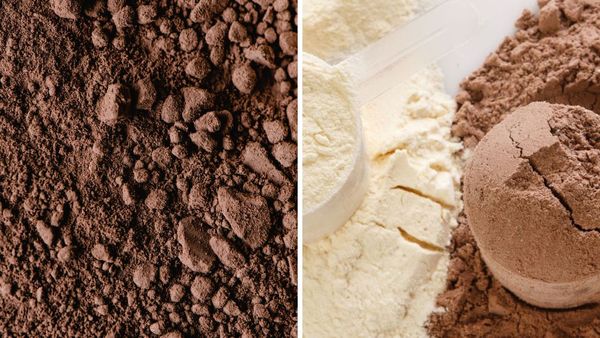Dispelling Protein Powder Myths: The Benefits Of Supplementing!