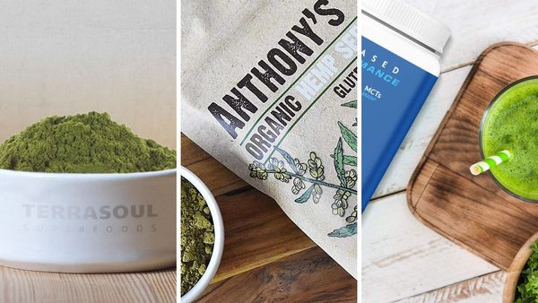 From Hemp To Health: Discover The Best Hemp Protein Powders For A Fit Lifestyle!